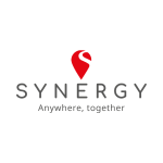 synergy300