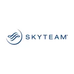 skyteam300 (1)